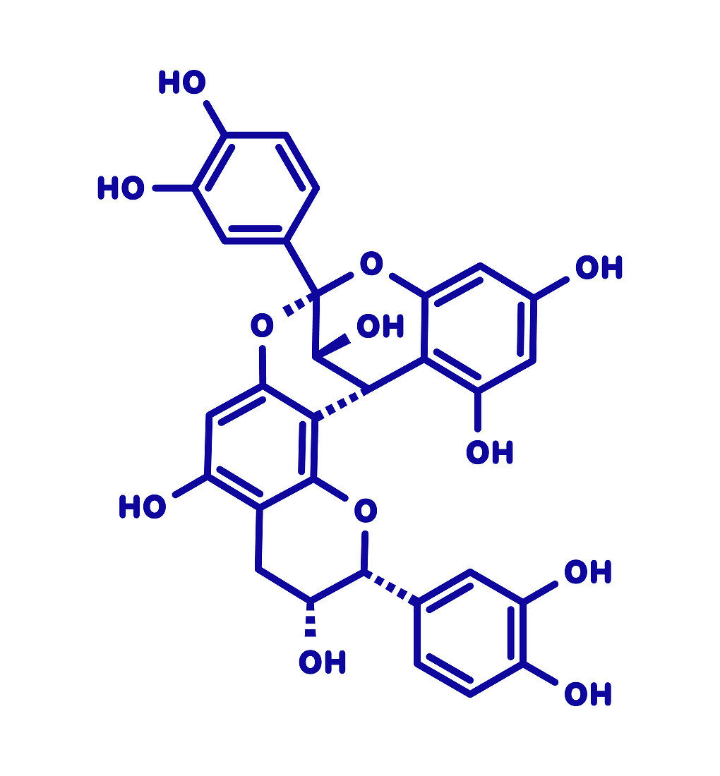 Proanthocyanidin A2 cranberry molecule