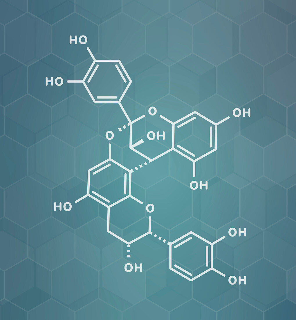 Proanthocyanidin A2 cranberry molecule