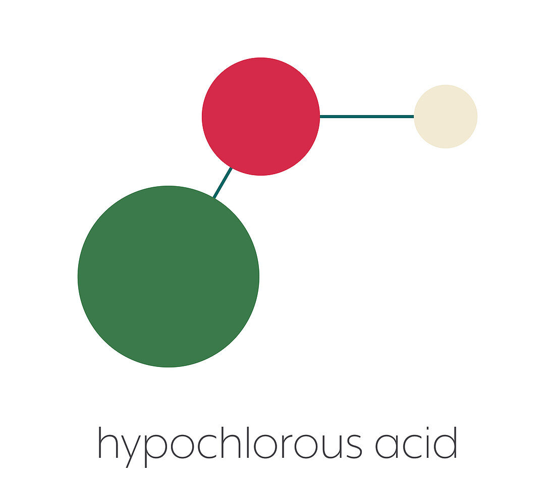 Hypochlorous acid disinfectant molecule
