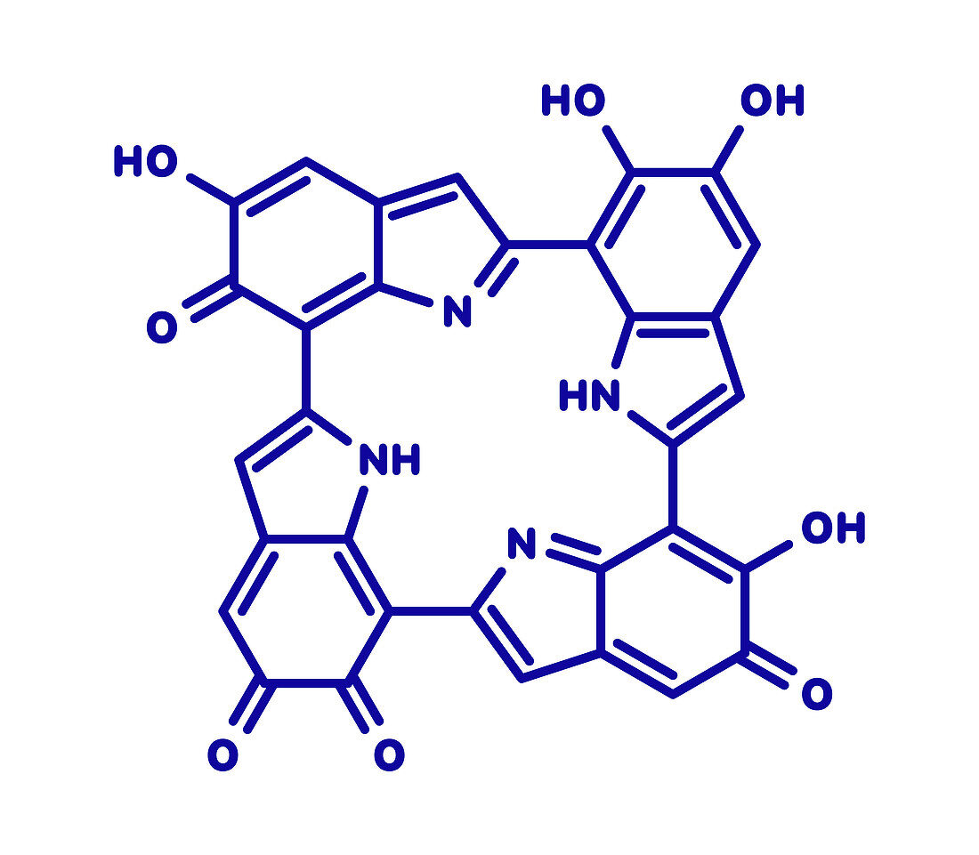 Melanin molecule
