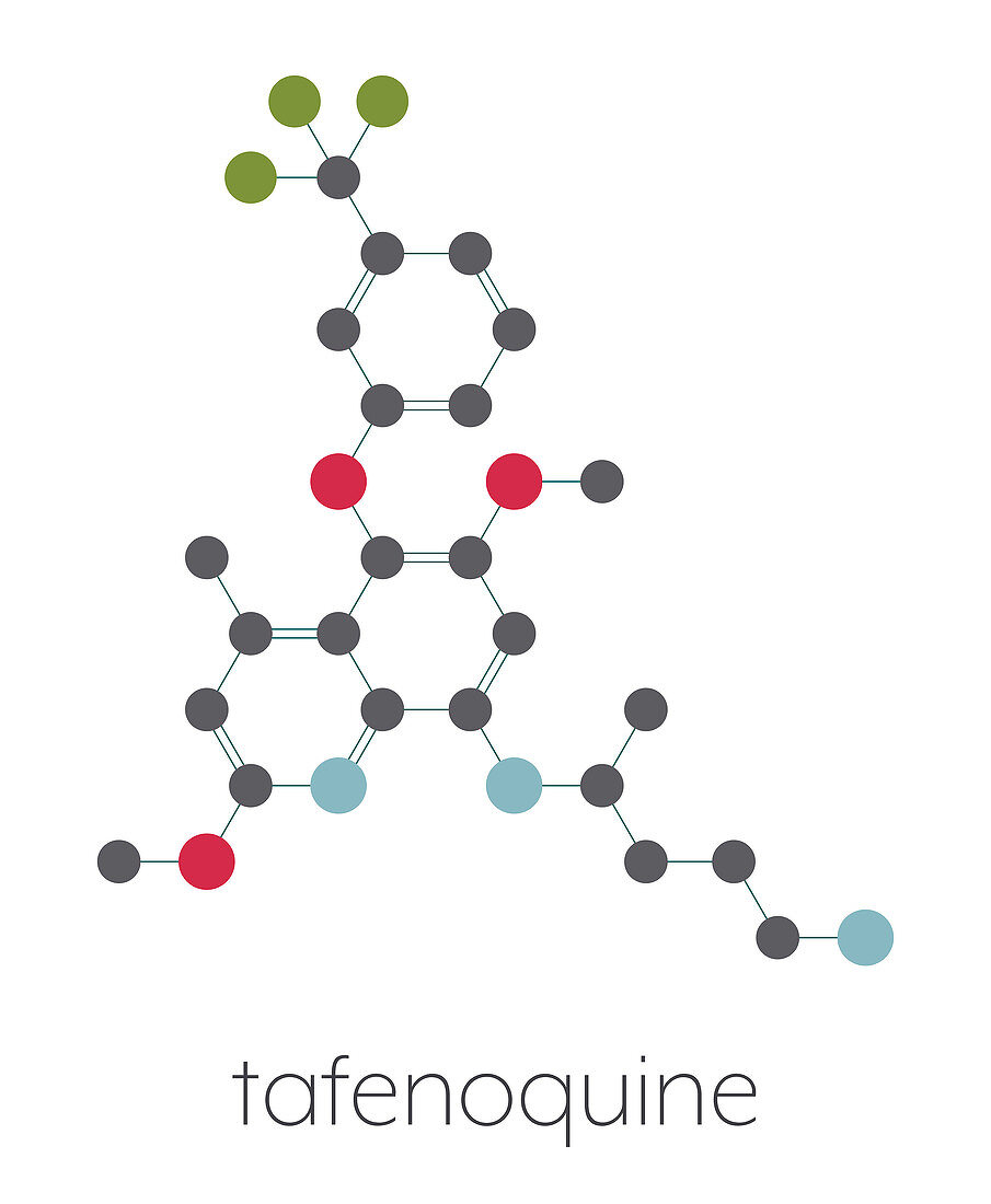 Tafenoquine malaria drug molecule