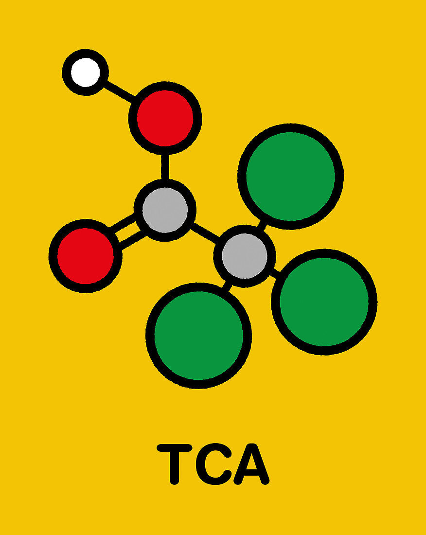 Trichloroacetic acid molecule
