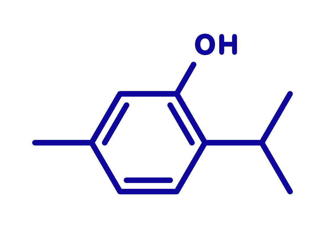 Thymol molecule