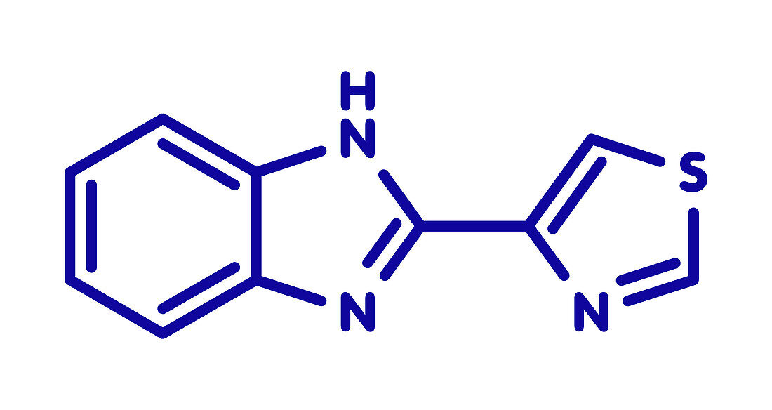Thiabendazole fungicidal and anti-parasite molecule