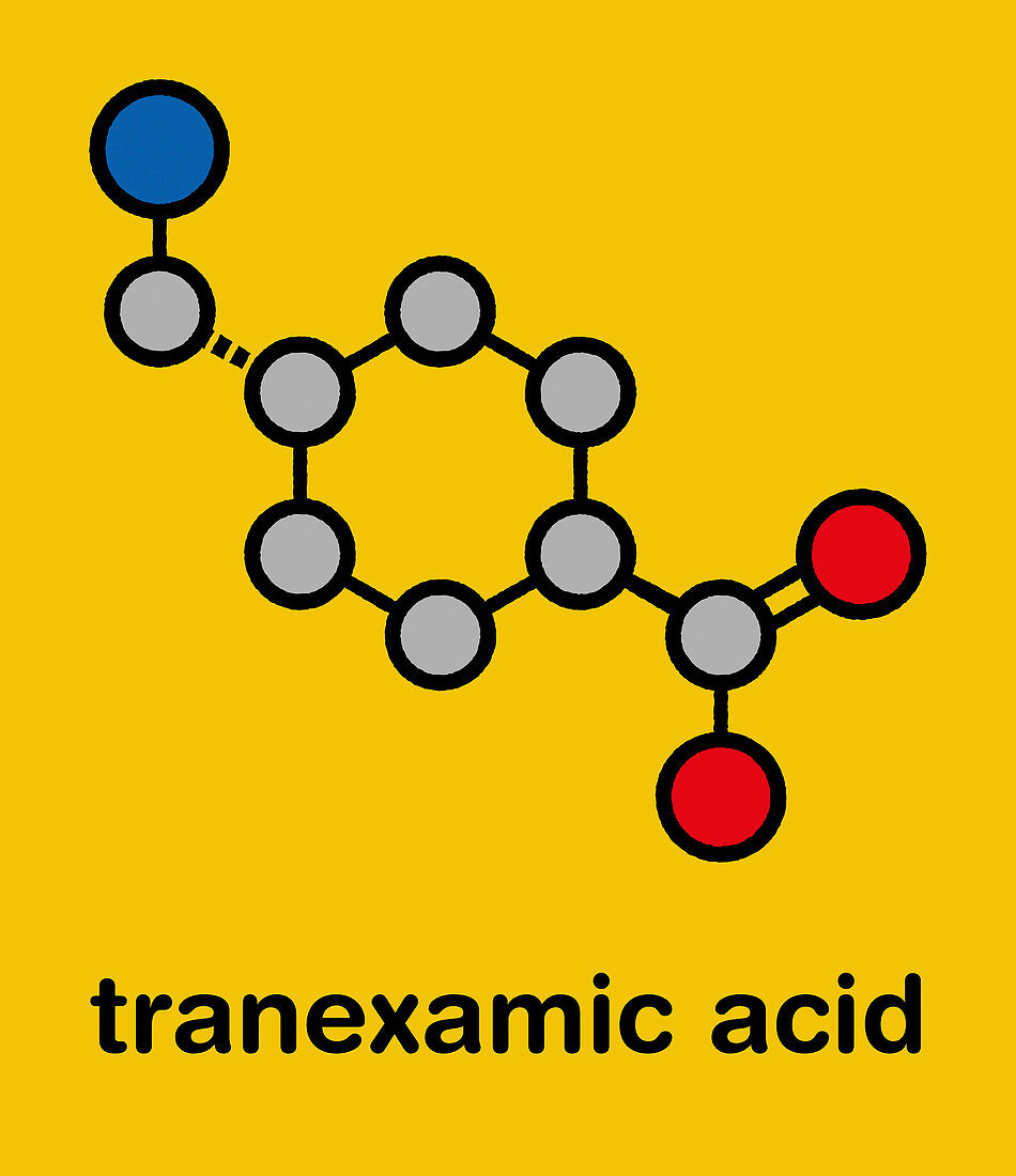 Tranexamic acid antifibrinolytic drug molecule