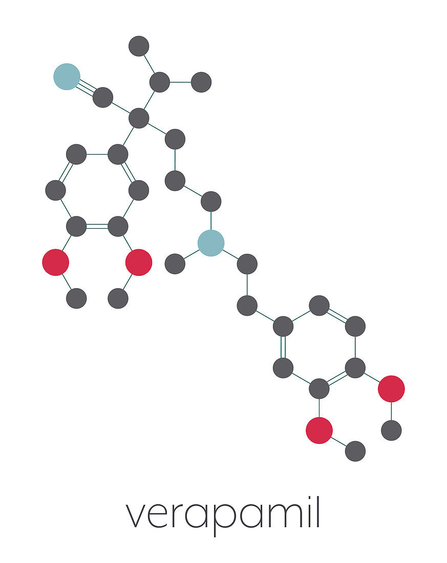 Verapamil calcium channel blocker drug