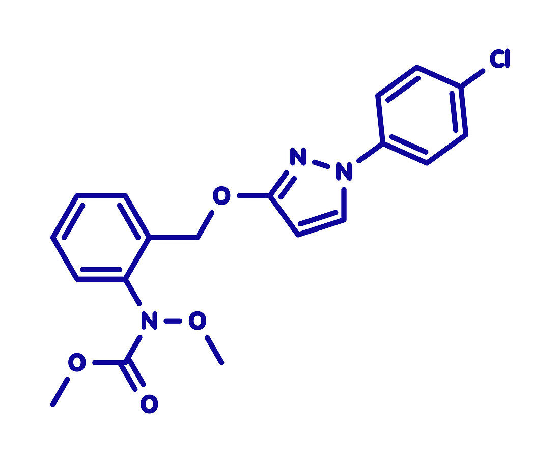 Pyraclostrobin fungicide molecule