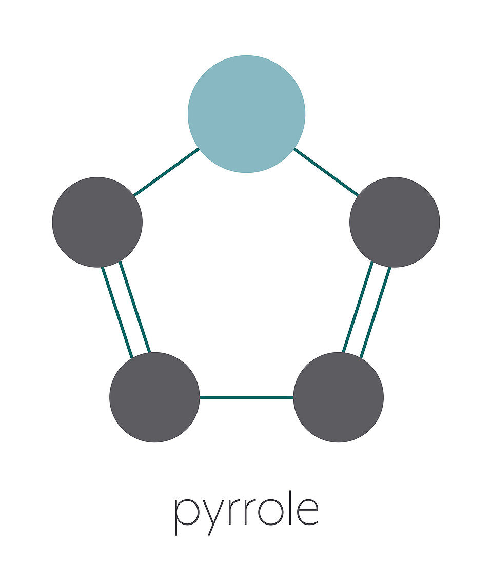 Pyrrole heterocyclic organic molecule