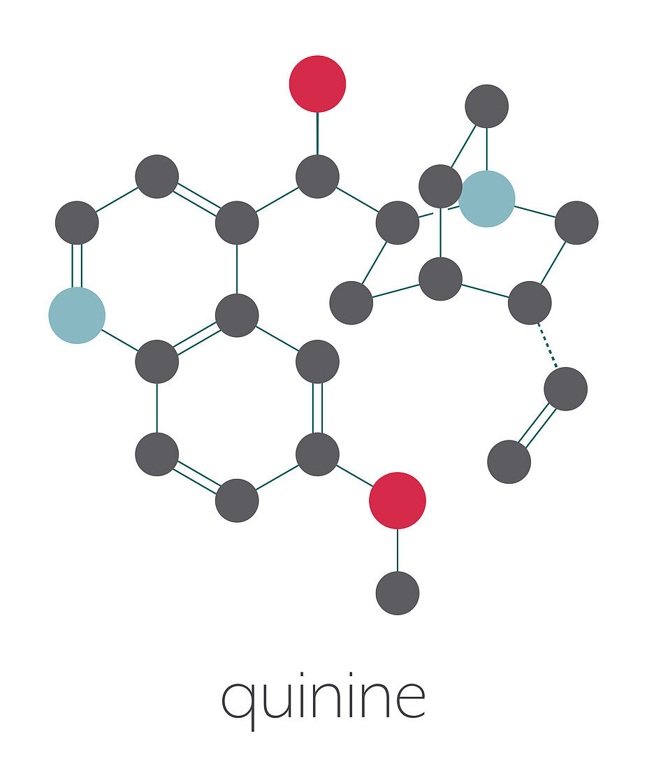 Quinine malaria drug molecule