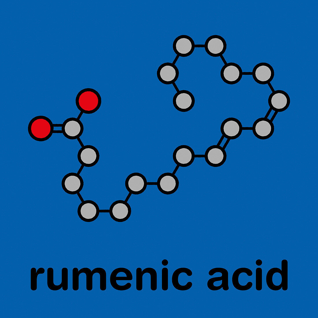 Rumenic acid fatty acid molecule