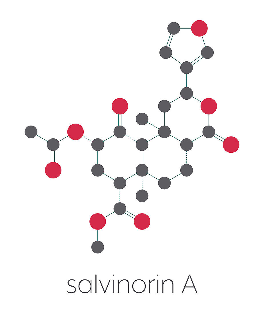 Salvinorin A entheogen molecule