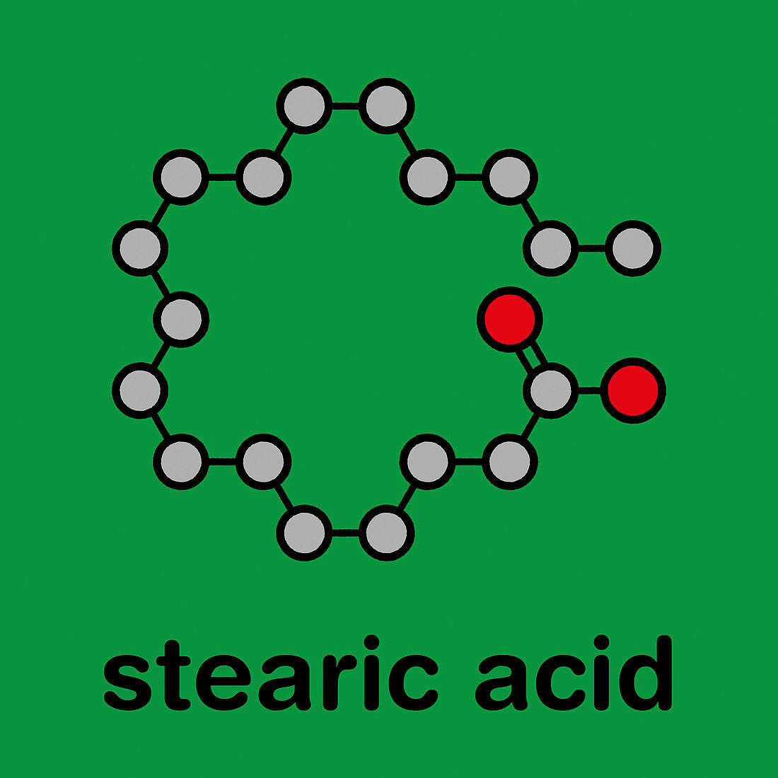 Stearic acid saturated fatty acid molecule