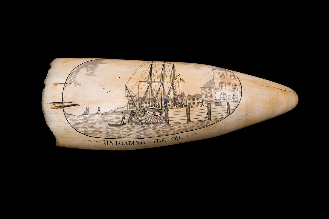 19th Century scrimshaw