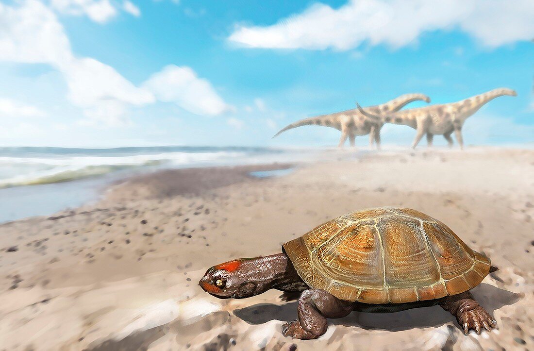 Prehistoric turtle and dinosaurs, illustration