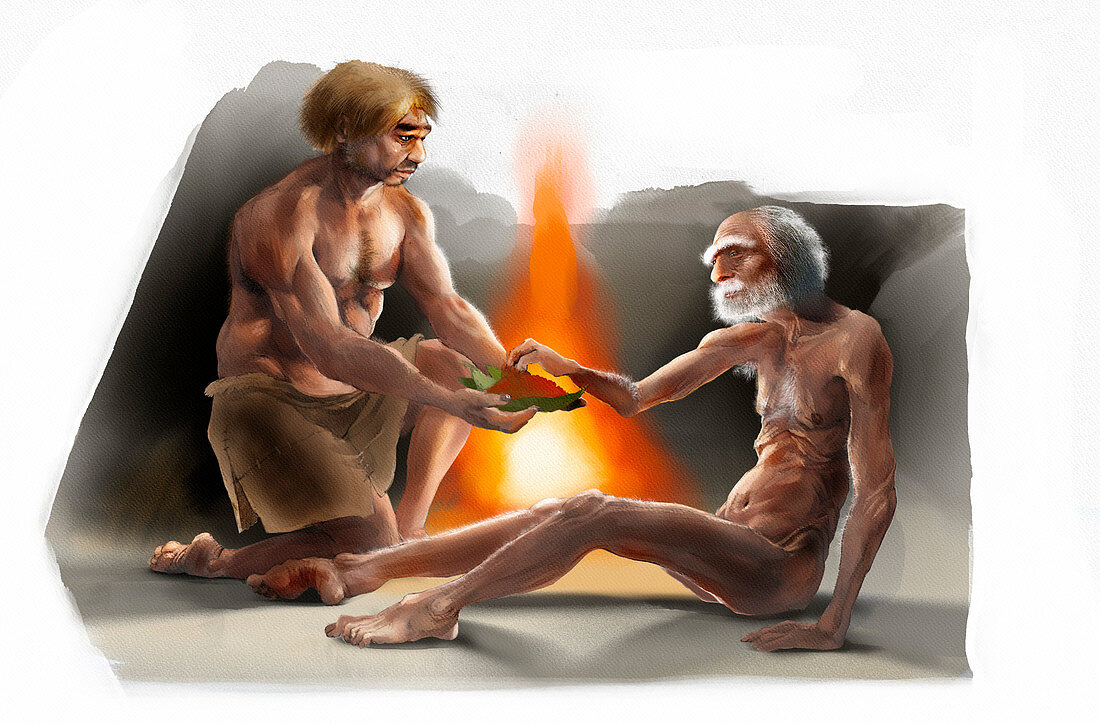 Neanderthals caring for the elderly, illustration