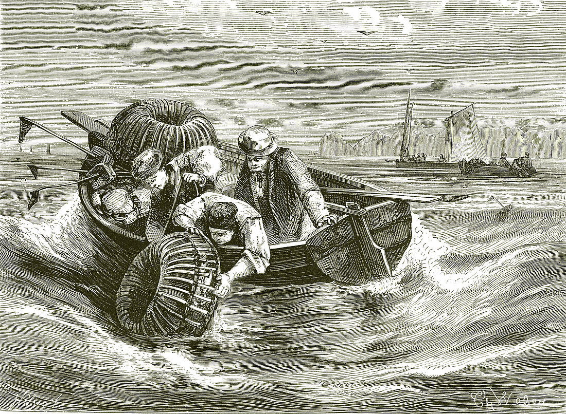 Fishing for lobsters and crabs, 19th century