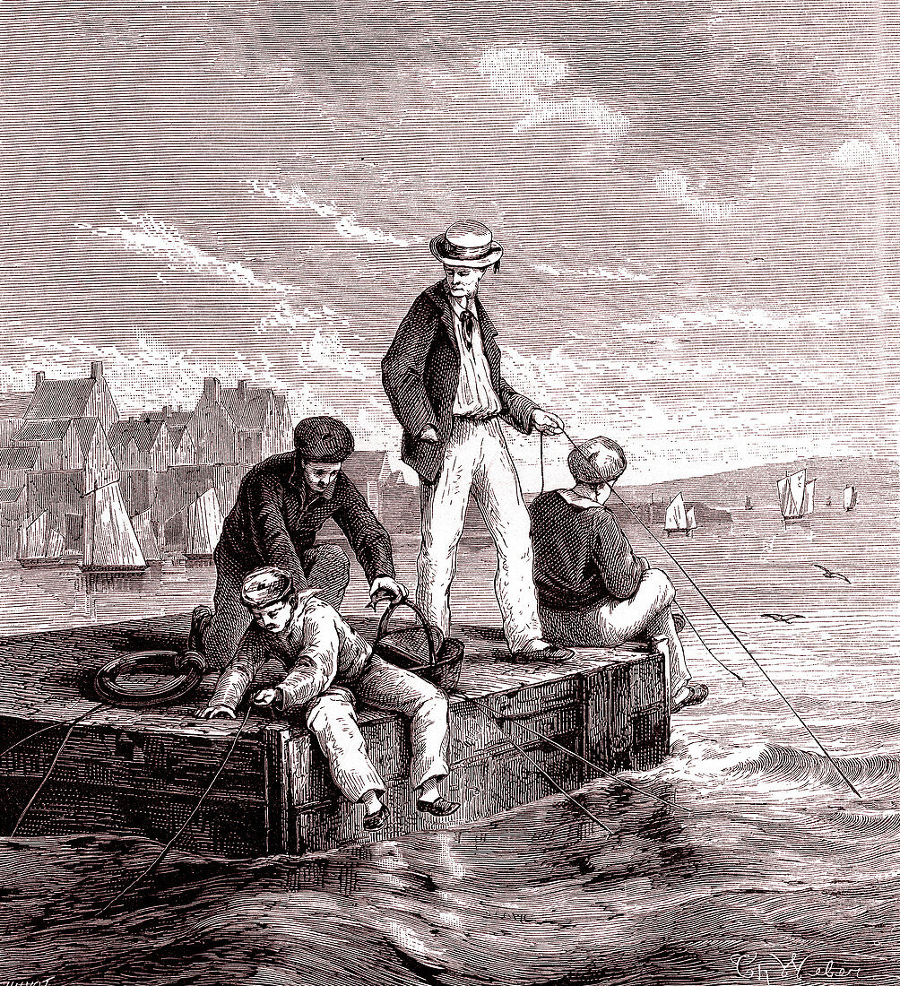 Fishing for horse mackerel and sea bream, 19th century