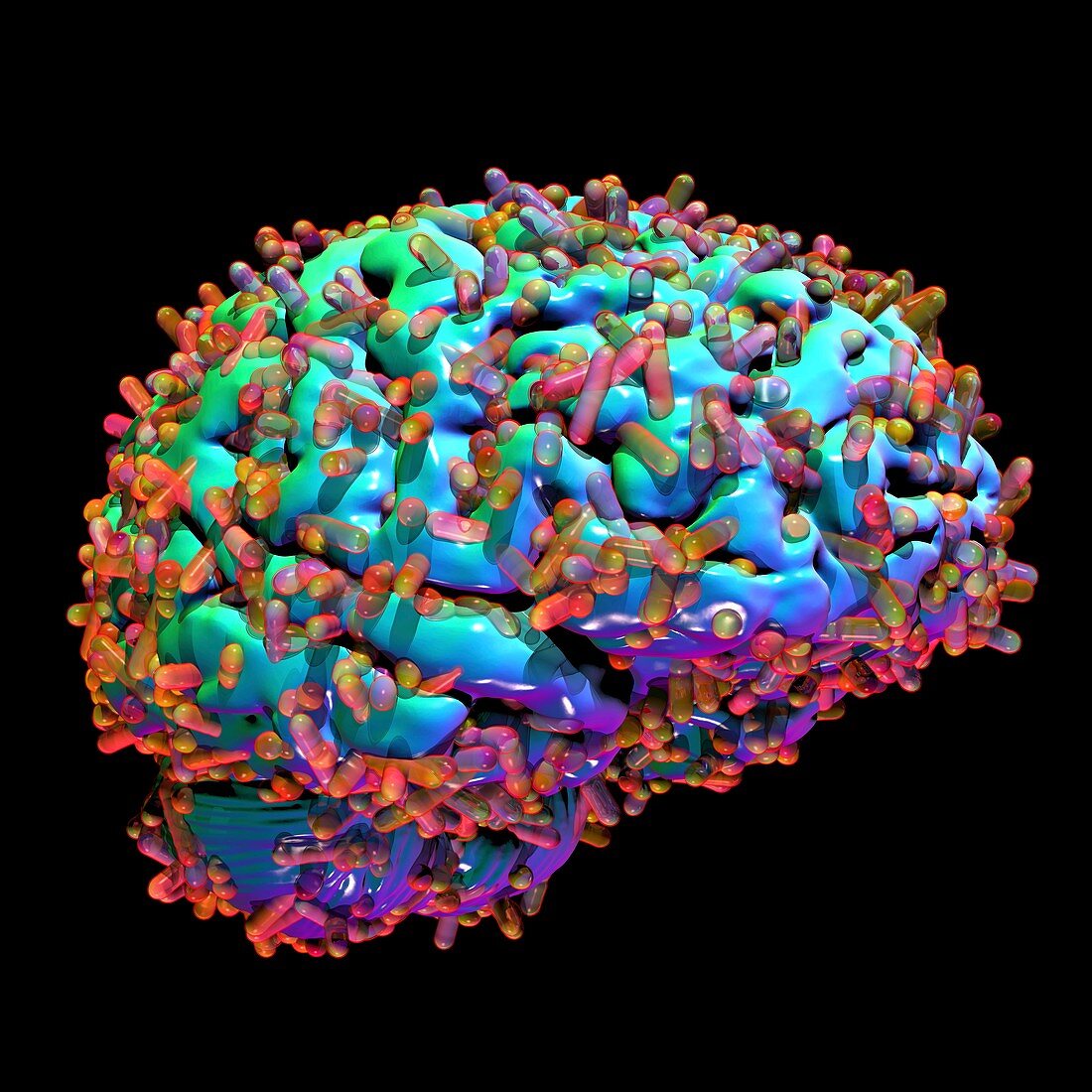 Brain microbiome, conceptual illustration