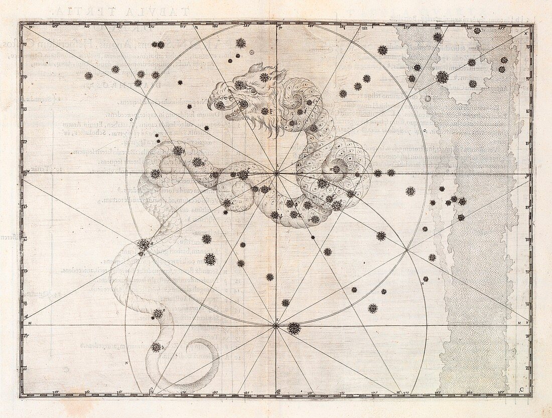 Draco constellation, 1603 illustration