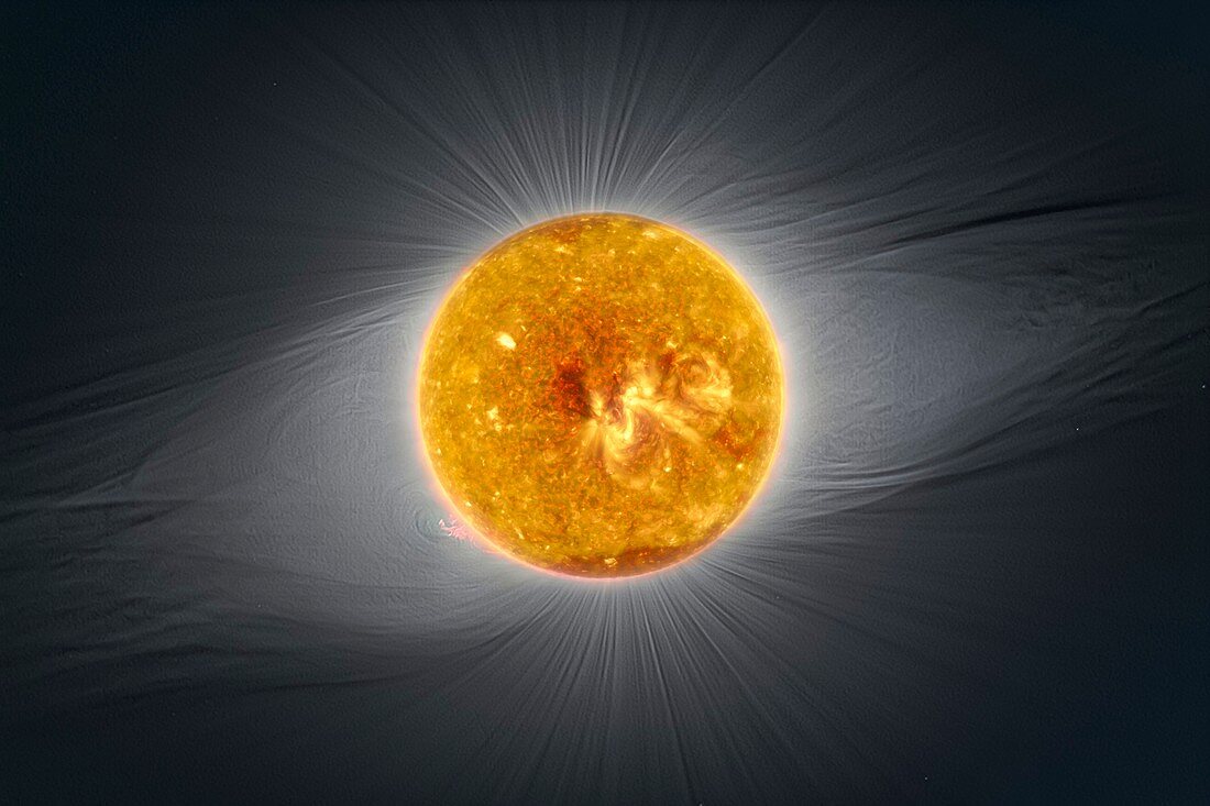 Sun's corona and complex magnetic fields, composite image