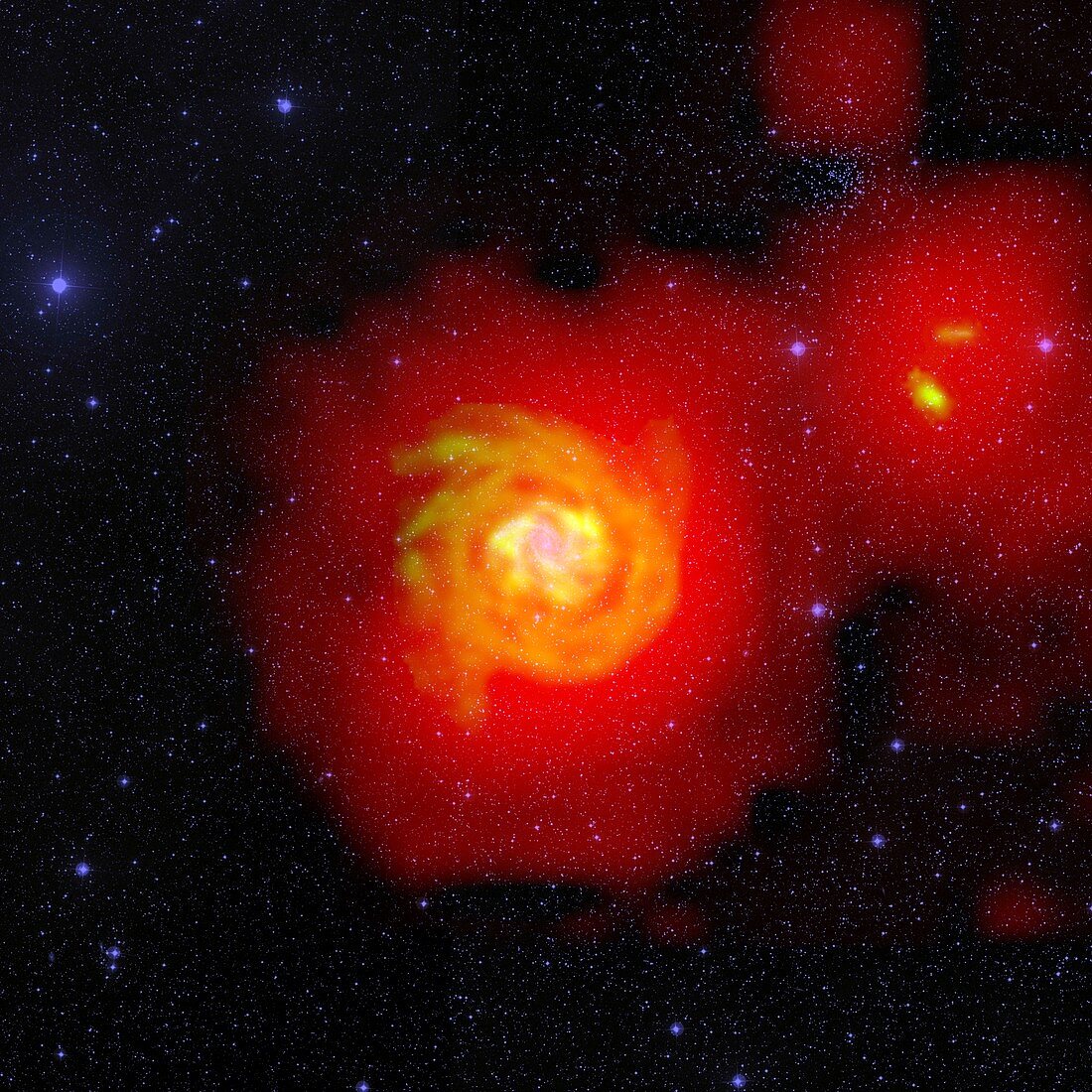 Spiral galaxy NGC 6946, composite radio-optical image