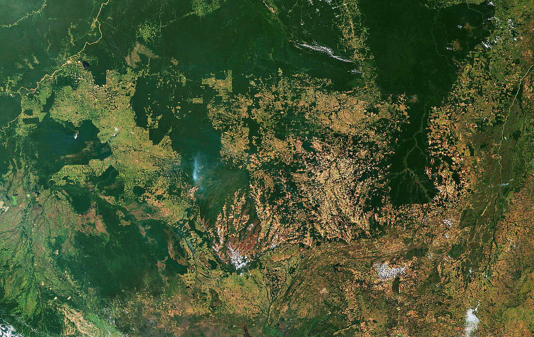 Deforestation in the Amazon, June 2019