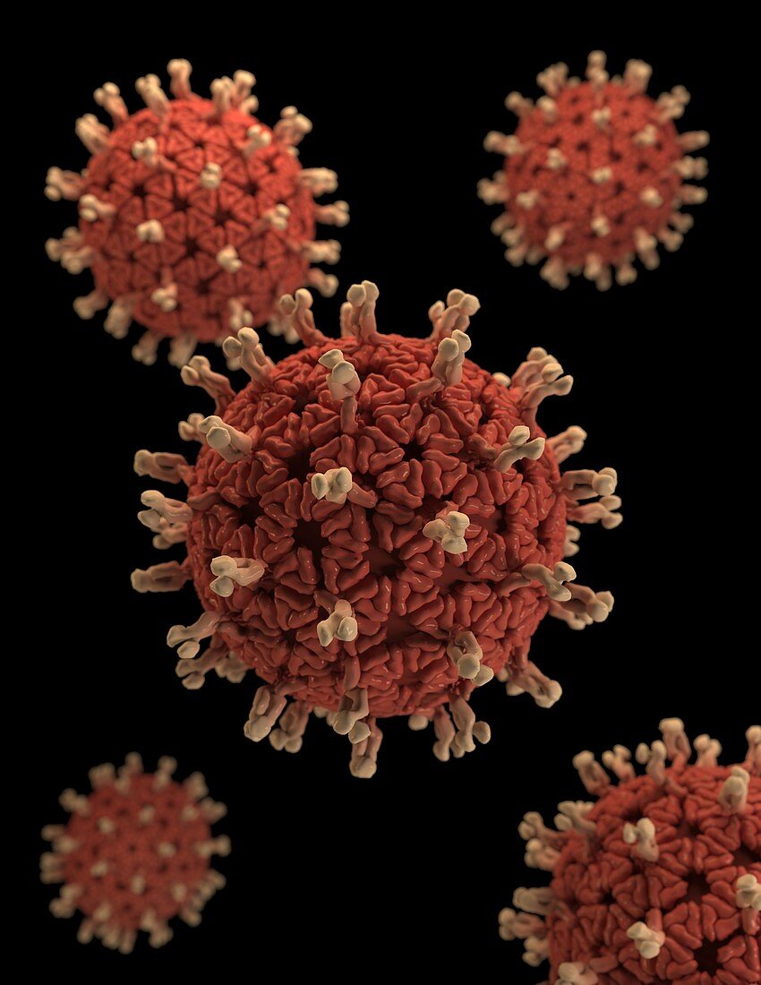 Rotavirus particles, illustration