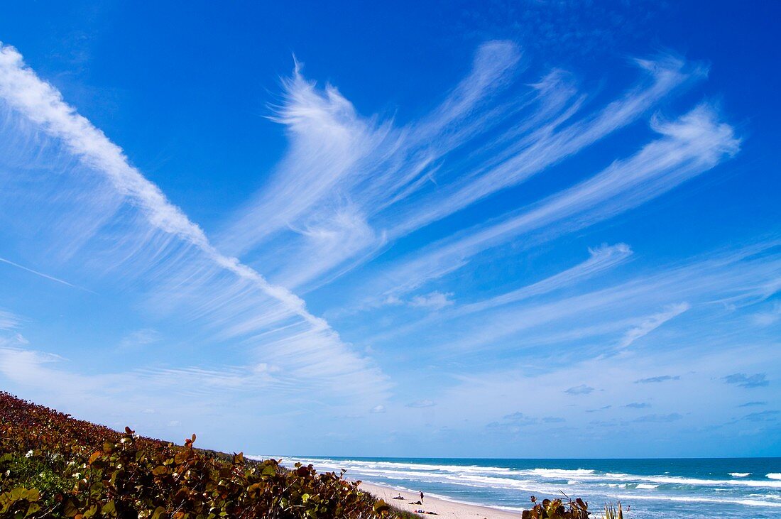 High level cirrus clouds over Florida
