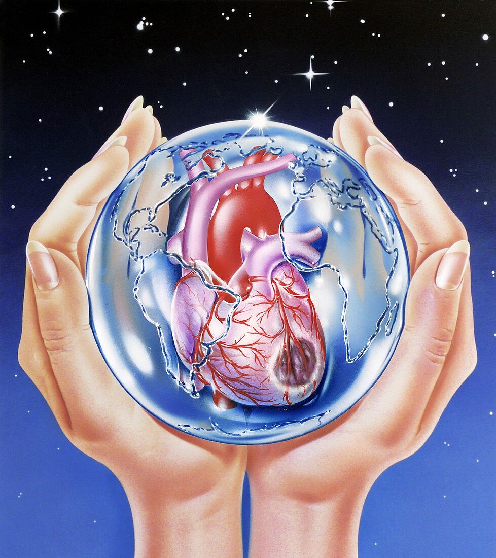 Global heart disease prevention, conceptual image