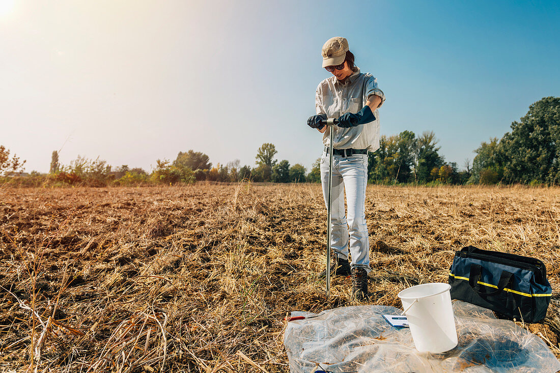 Soil scientist taking sample with soil probe