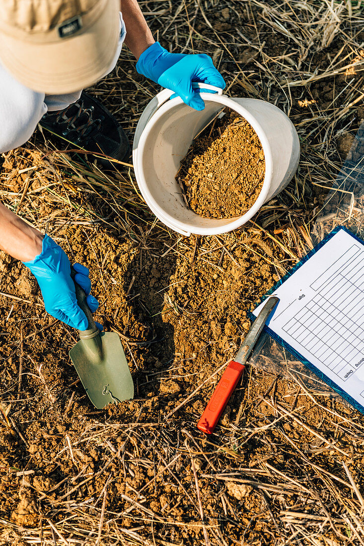 Soil scientist taking soil sample