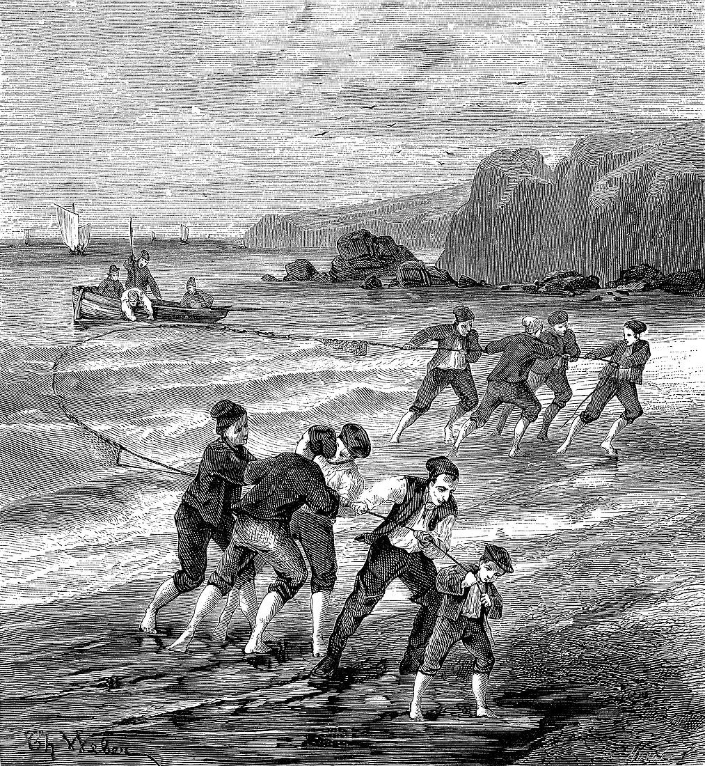 Fishing with seine nets, 19th century