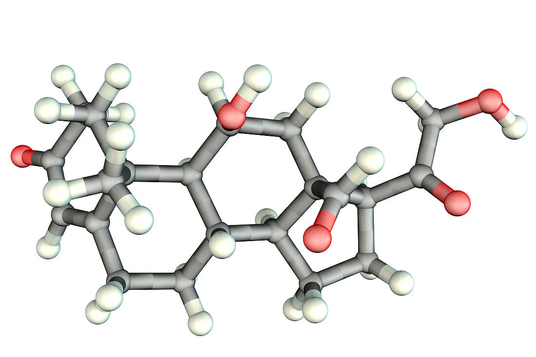 Aldosterone hormone, molecular model
