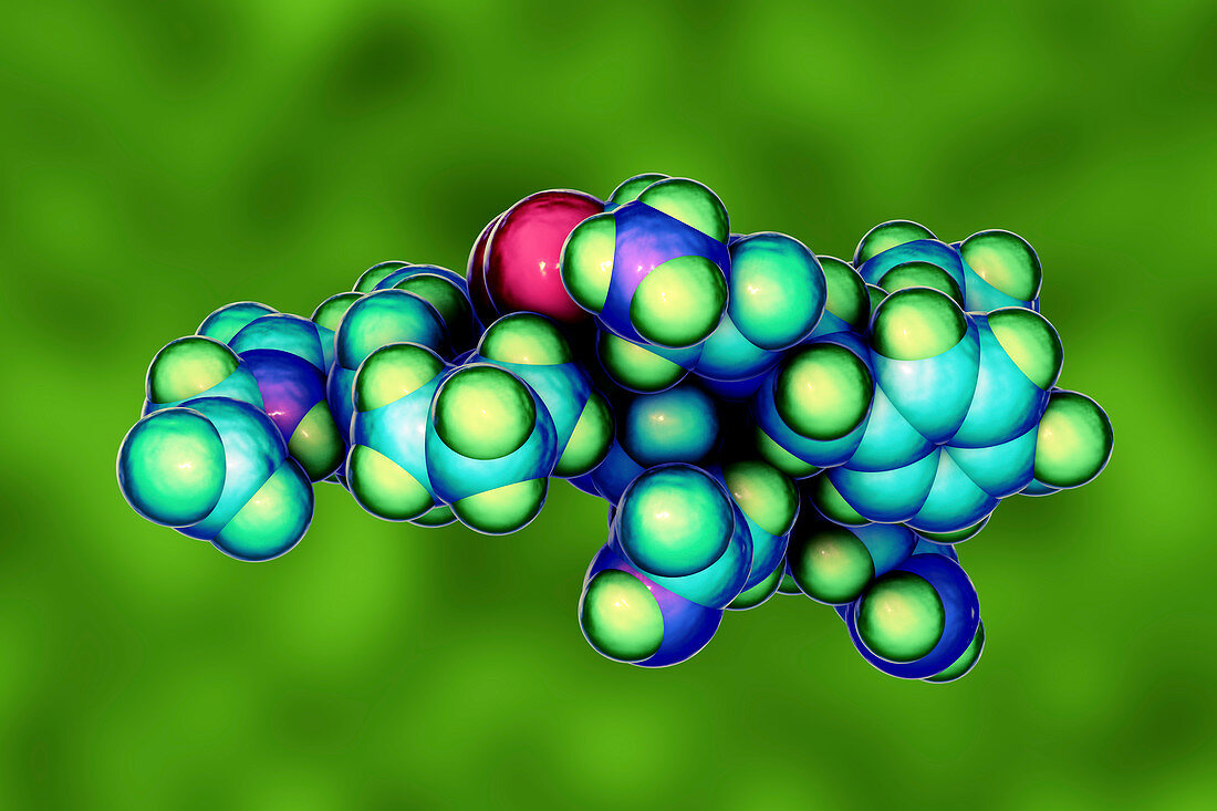 Oxytocin hormone, molecular model