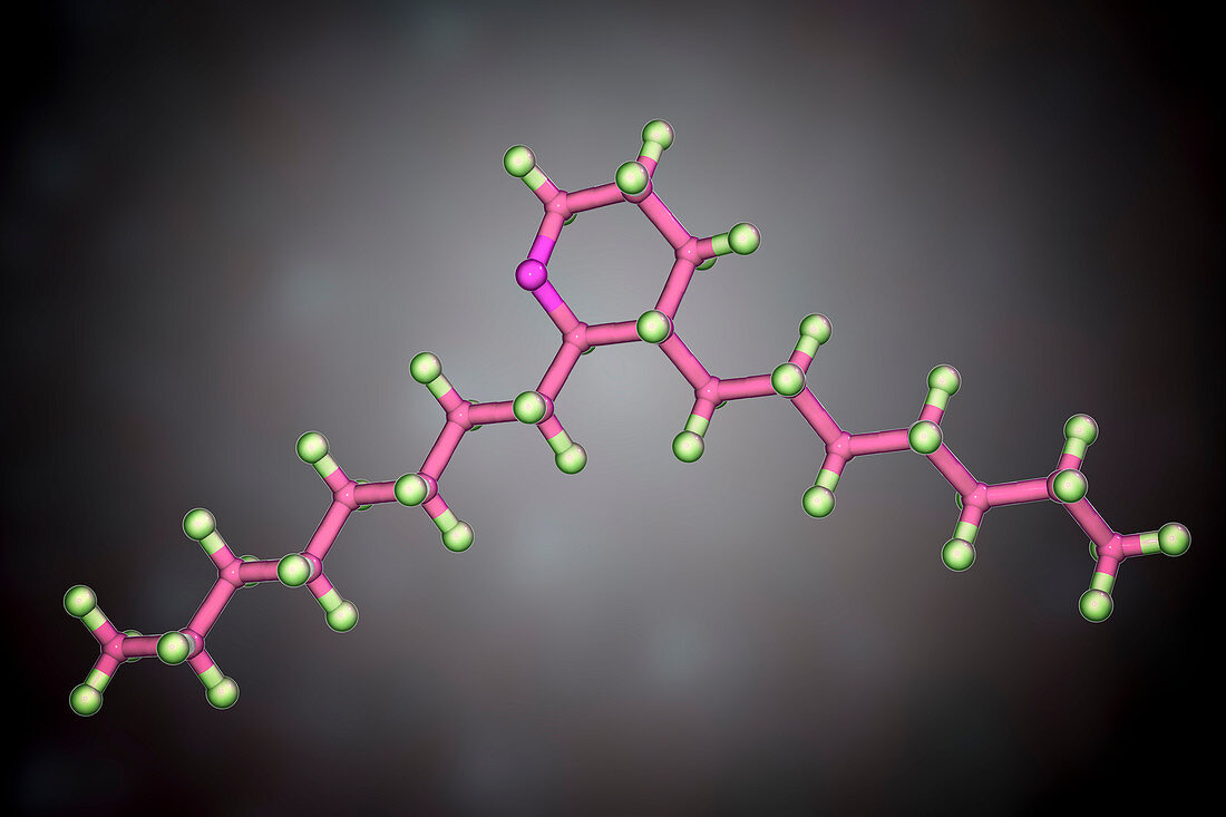 Thromboxane A2, molecular model