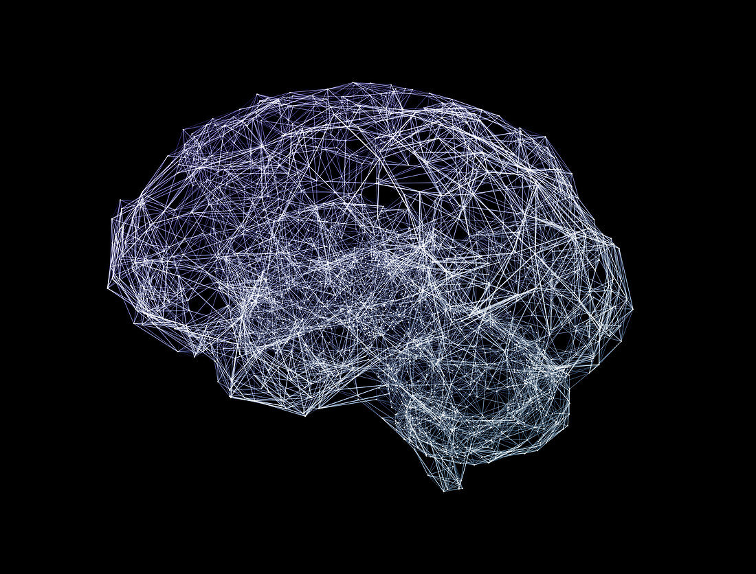 Brain shaped network, illustration