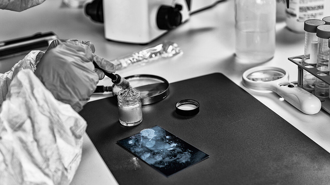 Forensic expert working in forensic science laboratory
