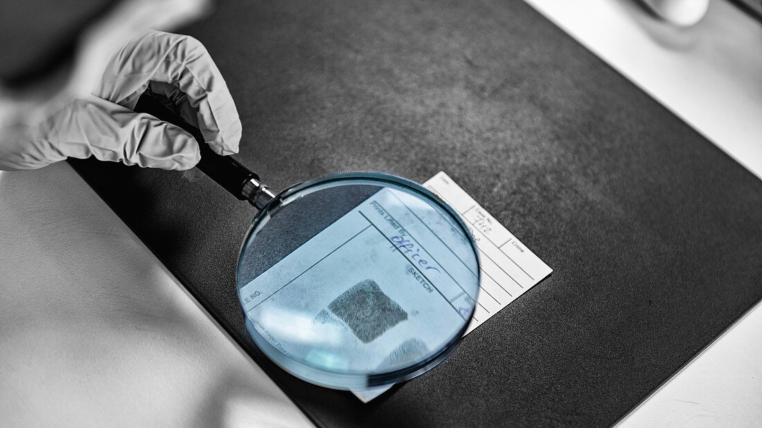 Forensic science technician analyzing evidence in laboratory