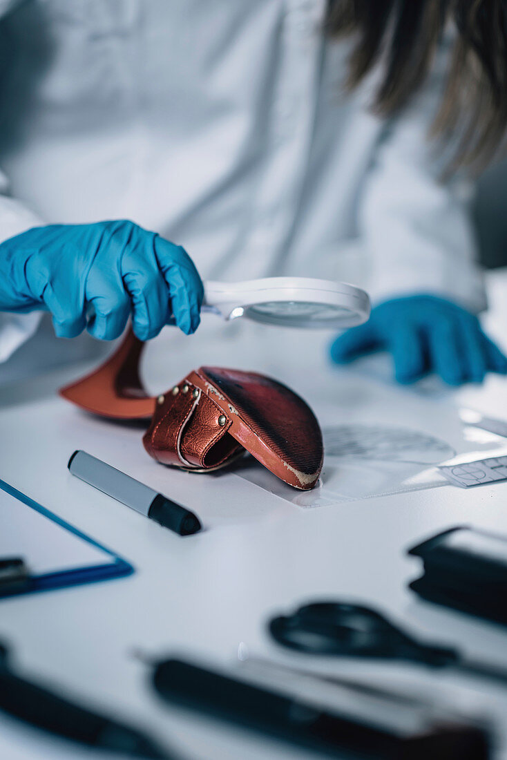 Forensics expert examining crime scene evidence