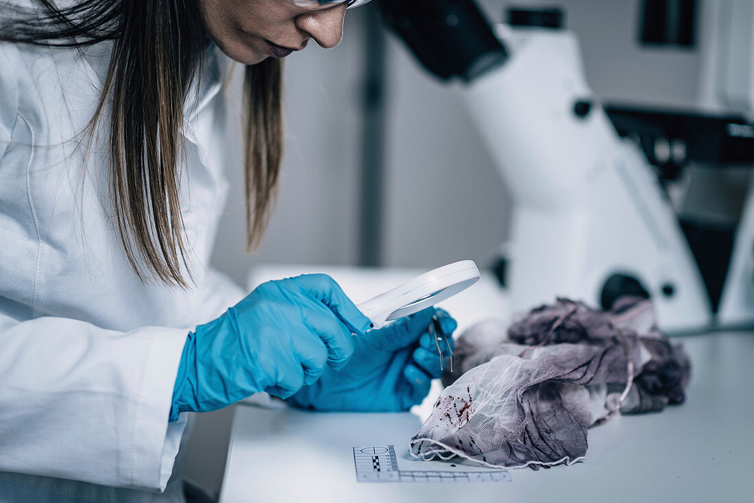 Forensics expert examining crime scene evidence