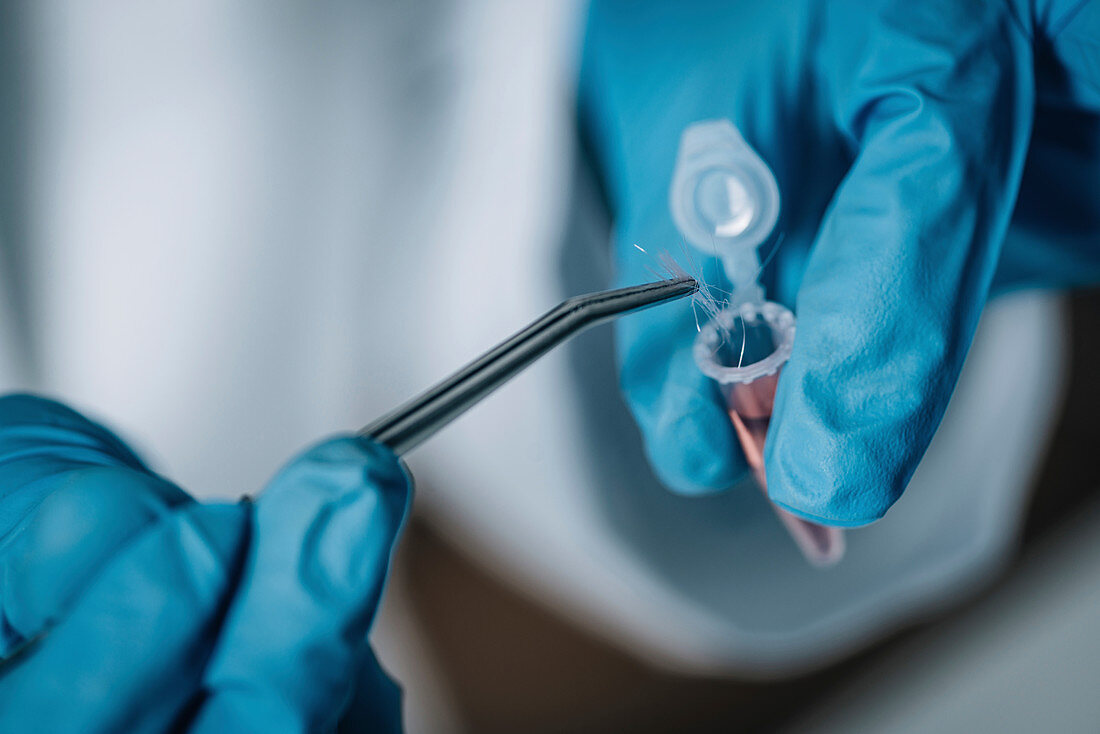 Forensics expert examining crime scene evidence