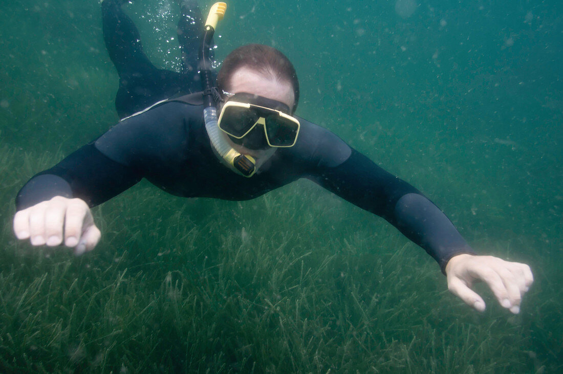Snorkeler swimming over sea grass