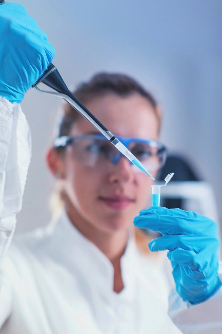 Scientist using micropipette