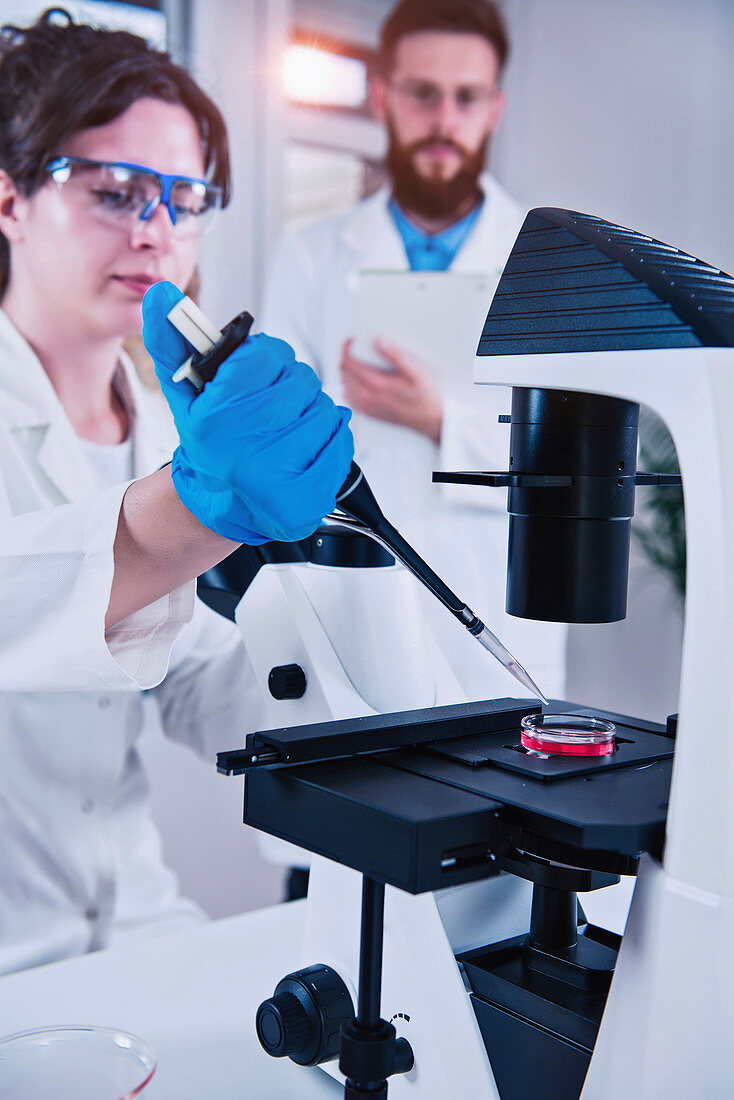 Scientist using microscope