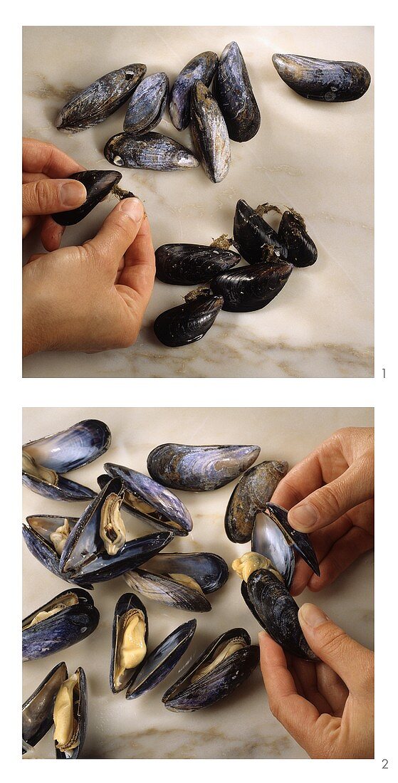 Mussels: tearing off the beards and opening the shells