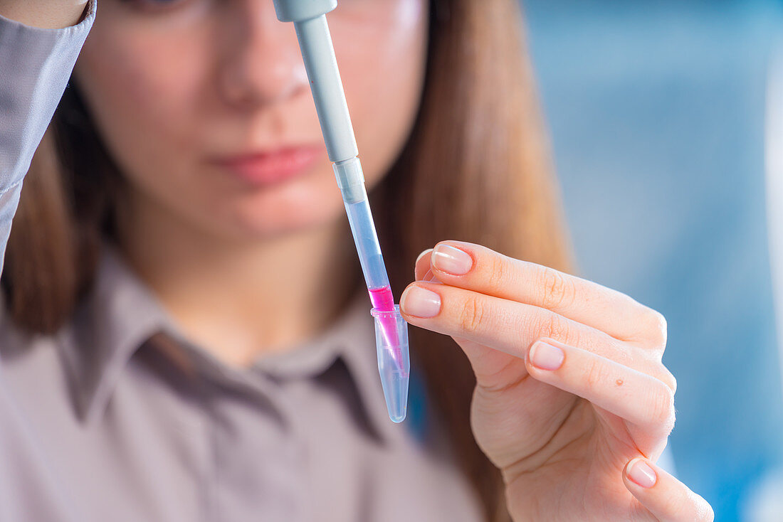 Researcher pipetting sample