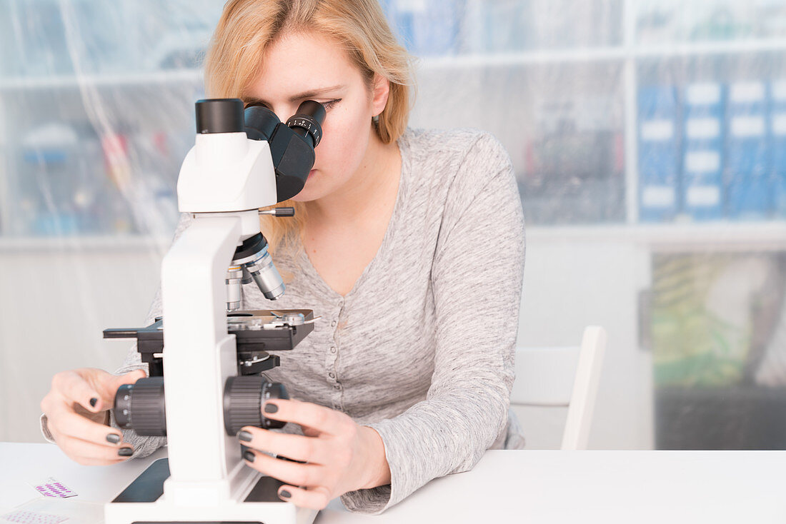 Student using microscope