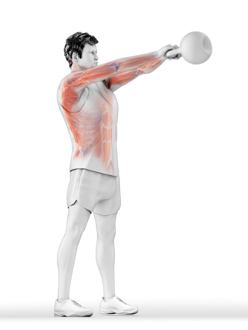 Man doing kettlebell workout, illustration