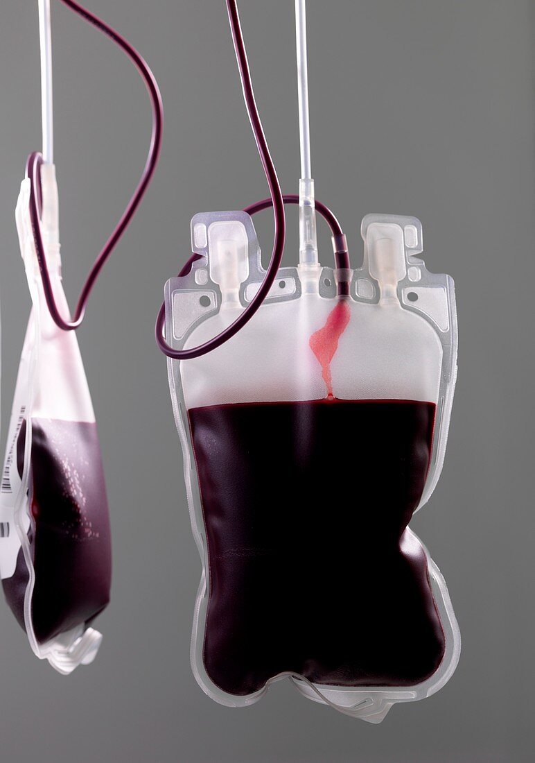 Donor blood processing