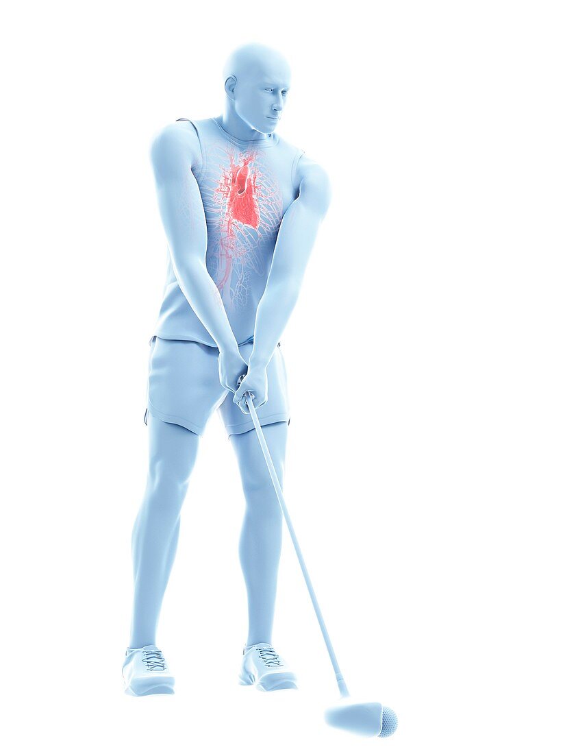 Golf player's heart, illustration